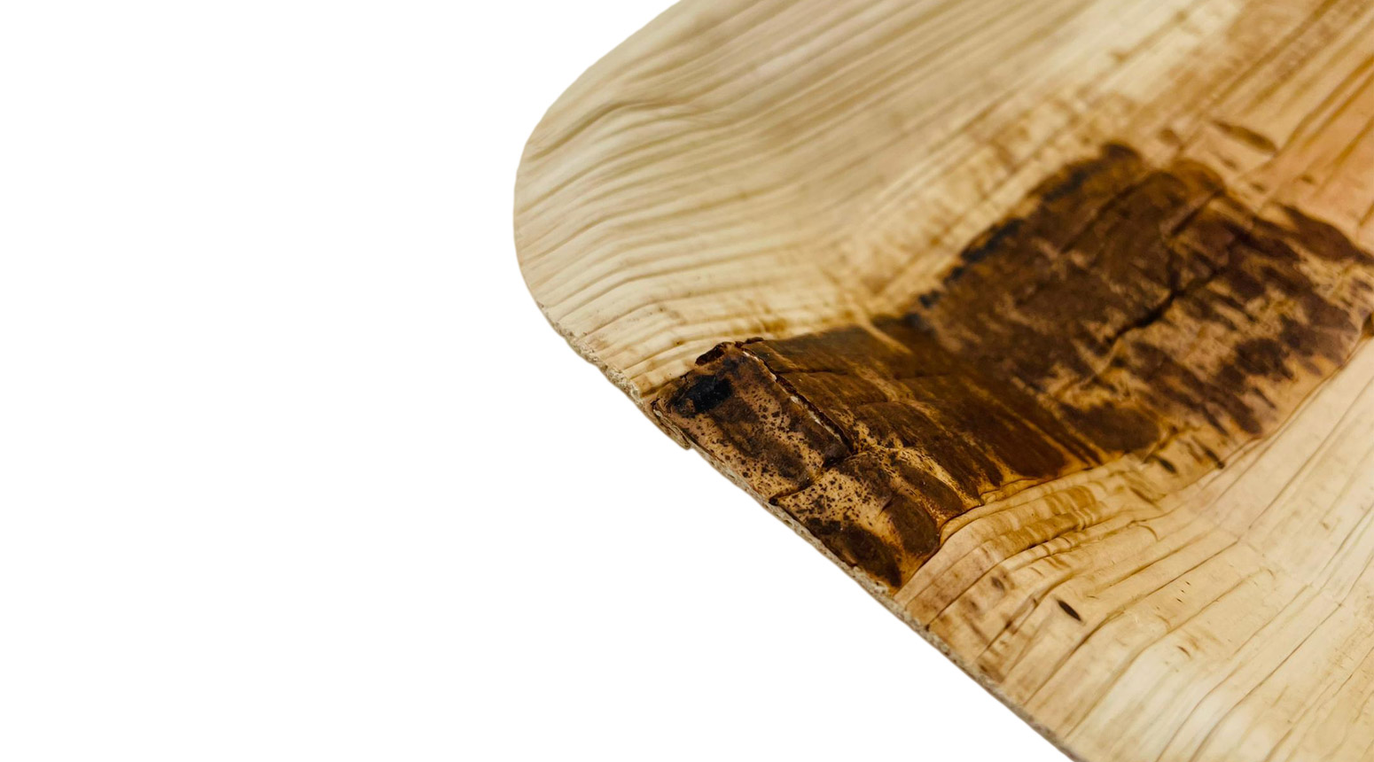 Palmblatt Teller, quadratisch, 240 x 240 x 25 mm