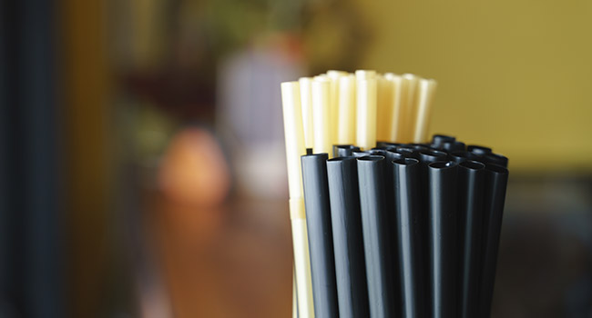 Trinkhalme schwarz & weiss