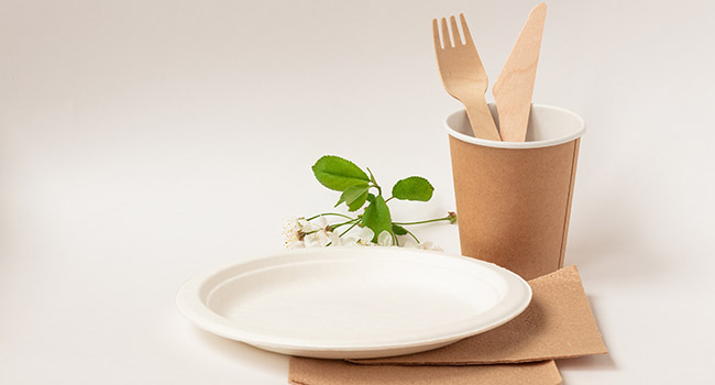 Teller aus Pflanzenfasern