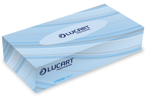 Kosmetiktücher Lucart, 2-lagig, weiss, 40 Boxen à 100 Stück