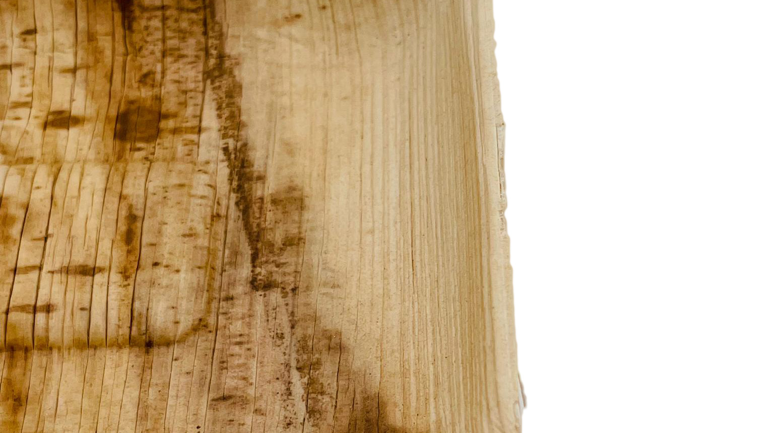 Palmblatt Teller, rechteckig, 190 x 90 x 20 mm