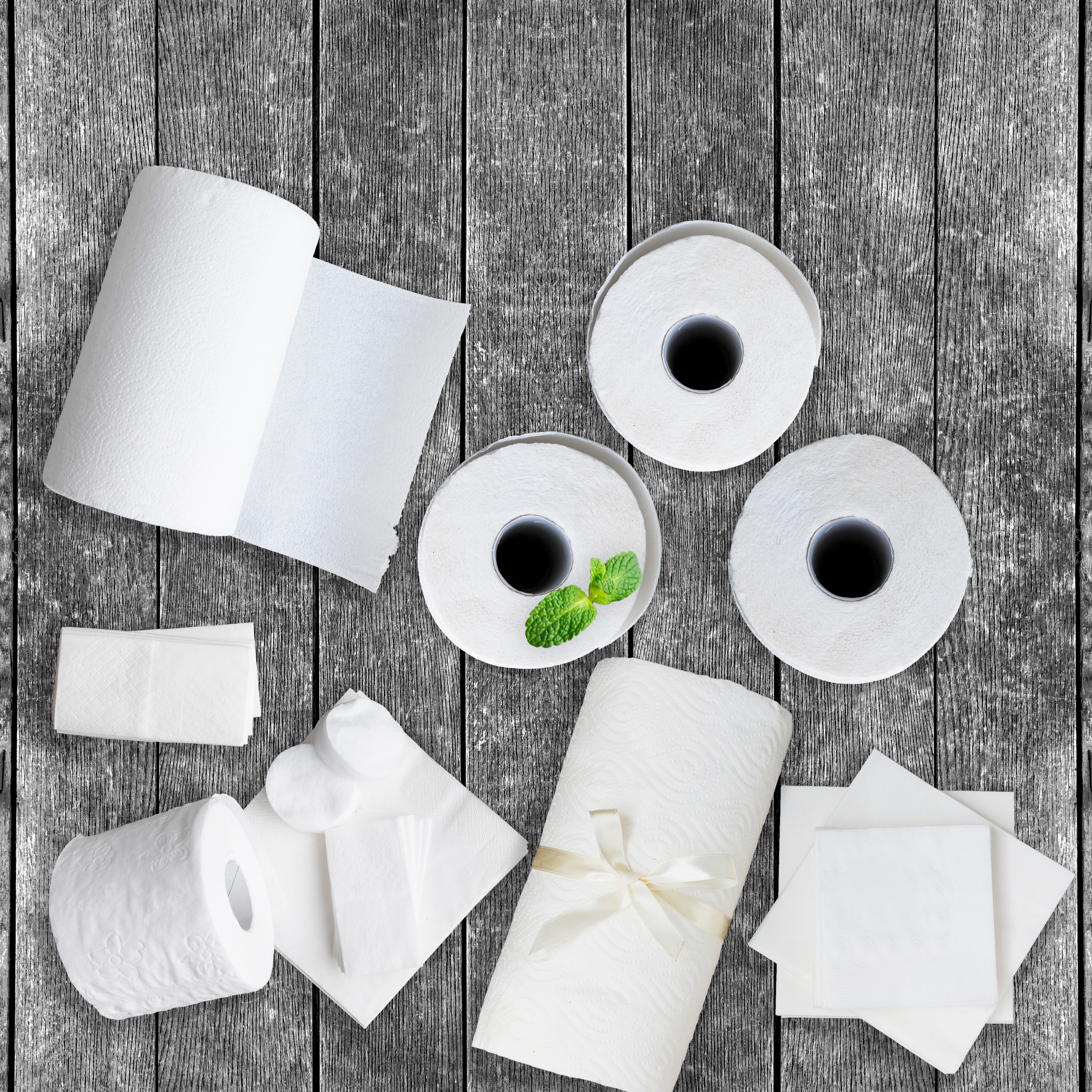 Swissbox-Blog-Toilettenhygiene