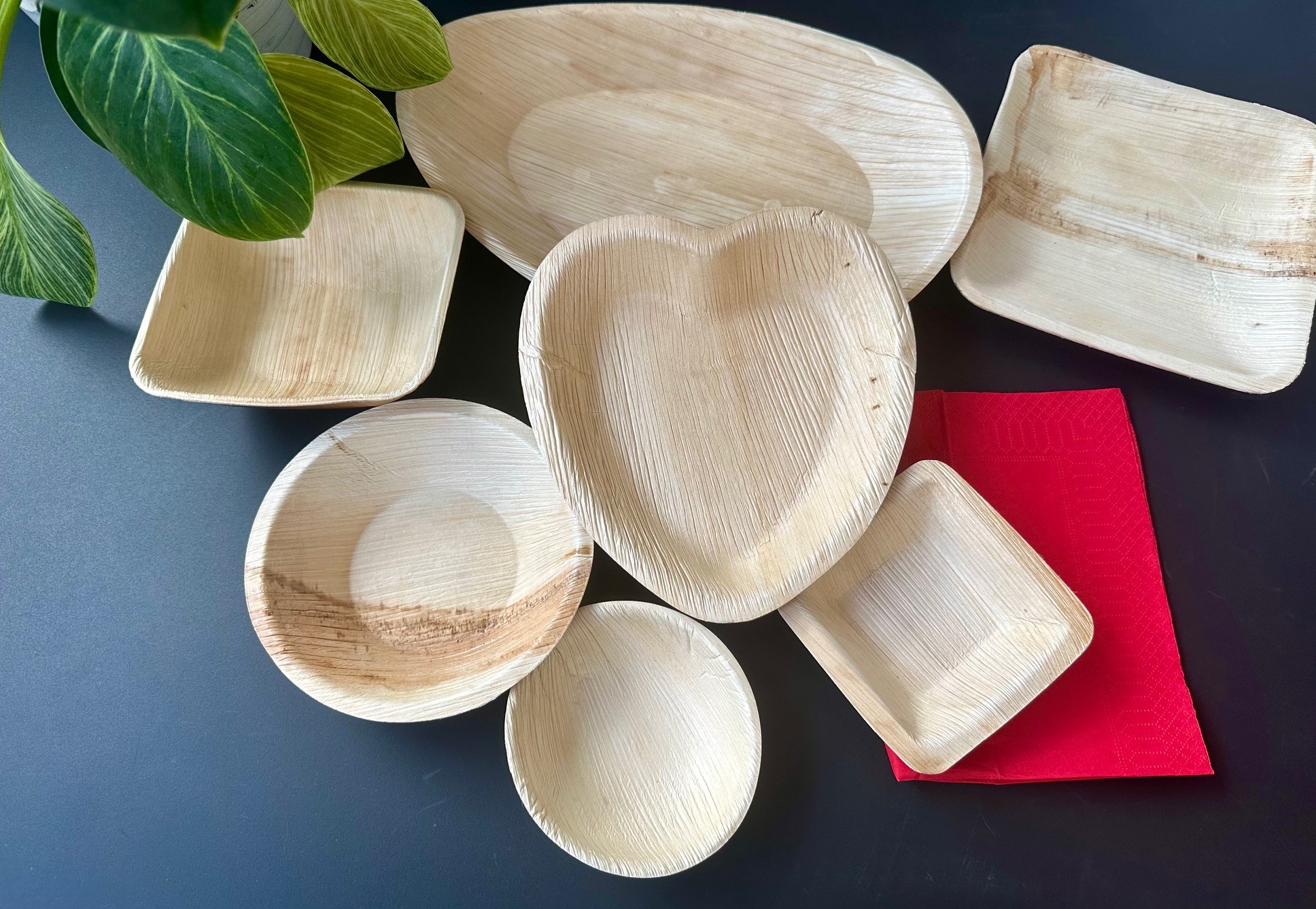 Palmblattteller.jpg 3