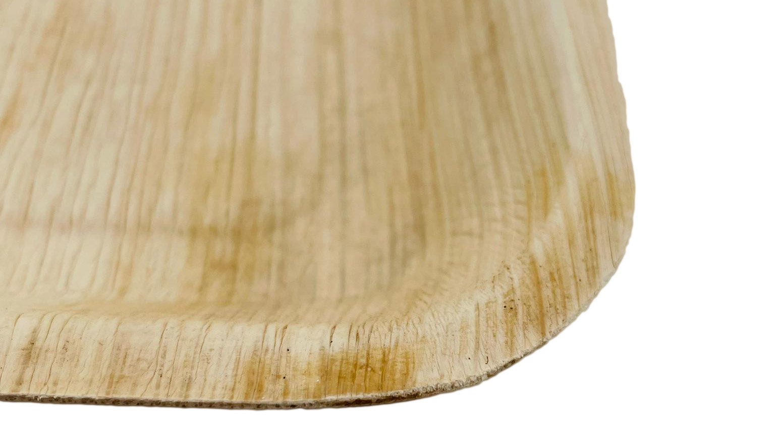 Palmblatt Teller, rechteckig, 240 x 160 x 25 mm